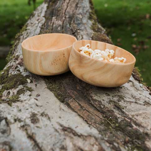 Two wooden bowls placed atop a tree, showcasing natural textures and earthy tones in a serene outdoor setting