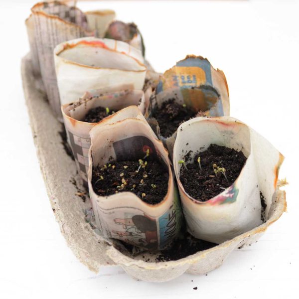 recycled newspaper seed pots