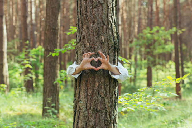 A person forming a heart shape with their hands in front of a tree, symbolising love for nature