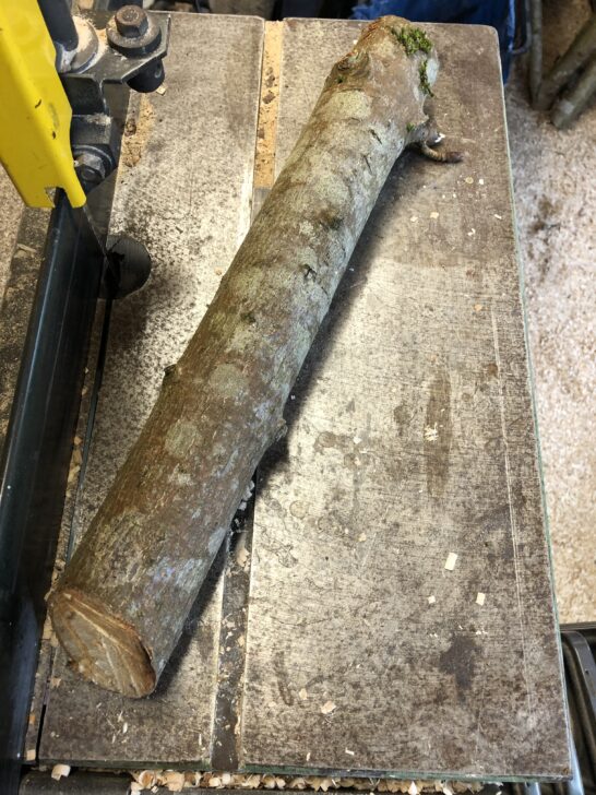 A wooden plank on a table beside a saw, indicating preparation for woodworking tasks