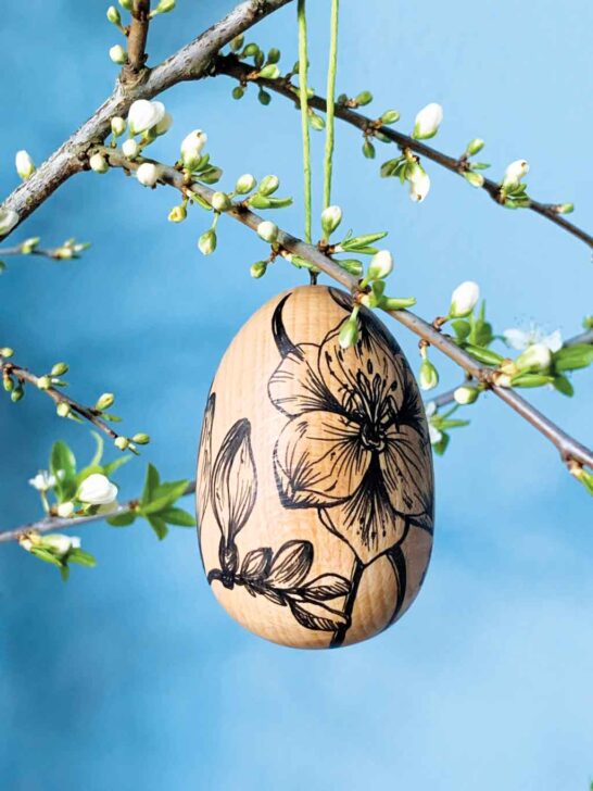 Spring Garden Illustrated Eggs